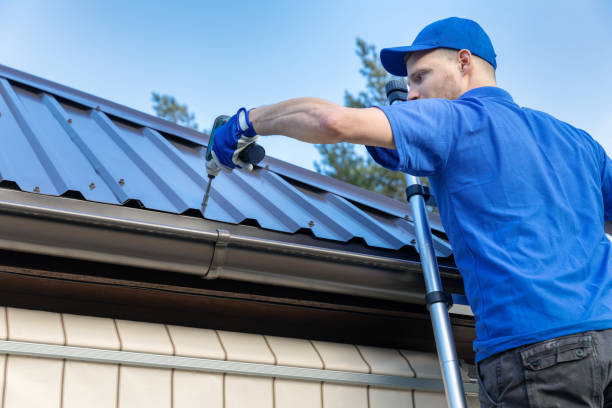 Best Hot Roofs  in Hainesvle, IL