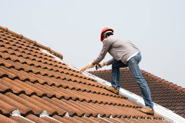 Best Rubber Roofing (EPDM, TPO)  in Hainesvle, IL